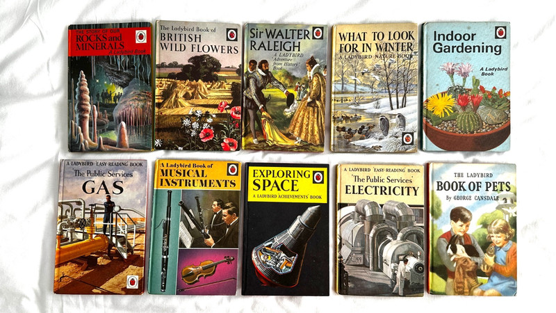10 x Wills & Hepworth Ladybird Books Non fiction FREE POSTAGE