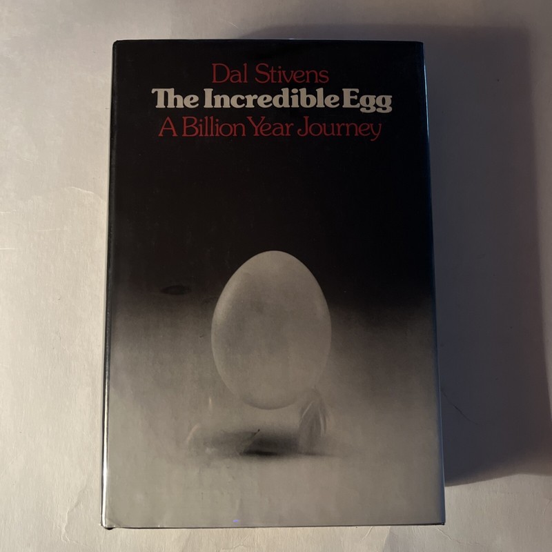 The Incredible Egg : A Billion Year Journey by Dal Stivens (Hardcover)