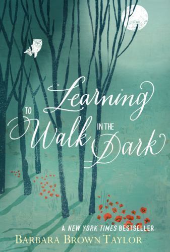 Learning to Walk in the Dark – Hardcover By Taylor, Barbara Brown – GOOD