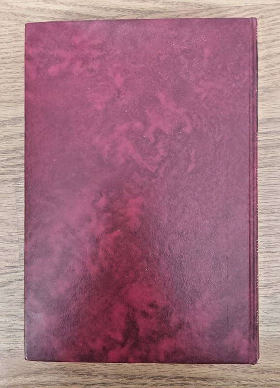 German Edition Mein Leben Mit Franz Liszt Aus dem Tagebuch eines Liszt-Schulers gallery