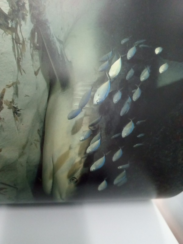 Water Light Time Phaidon Nautical Photography Book Coffee Table Decor gallery