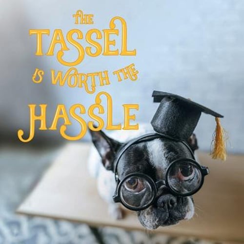 The Tassel Is Worth the Hassle by Gibbs Smith: Used