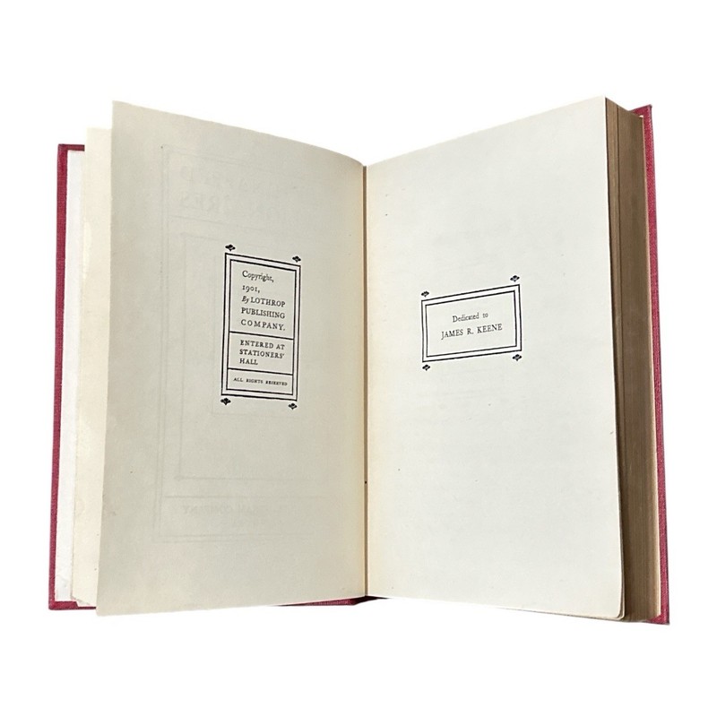 The Kidnapped Millionaires Frederick Upham Adams –1901 Dillingham 1st Ed HC Rare gallery