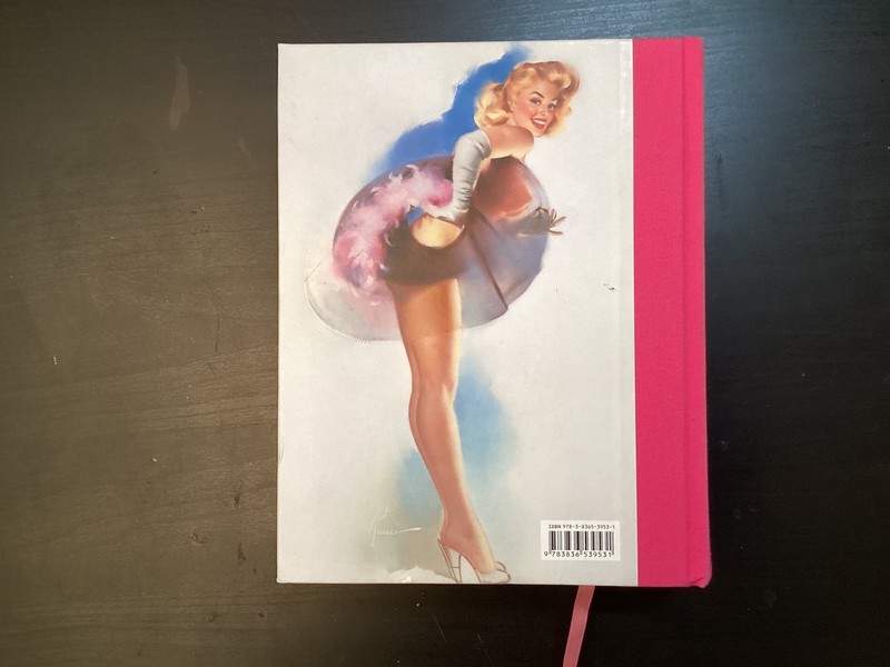 365 Day-by-Day Pin-Up Dian Hanson (2012, Hardcover Taschen) gallery