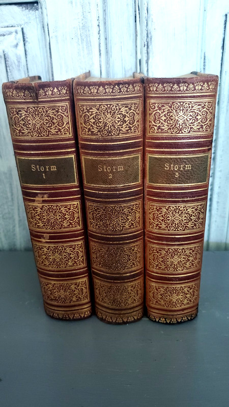 VTG/Antique Theodor Storm Books Volume 1,2,3 in German Language Classic Rare