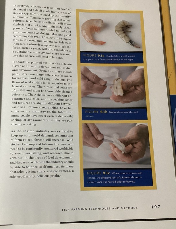 Kitchen Pro Series: Guide to Fish and Seafood Identification, Fabrication an. A7 gallery