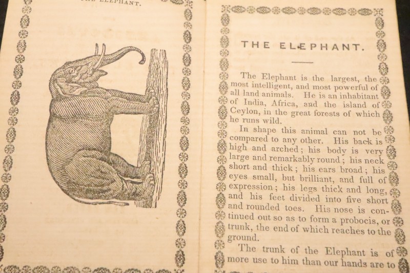 Rare 1820s Babcock New Haven Chapbook Elephant Toy Book Anecdotes gallery