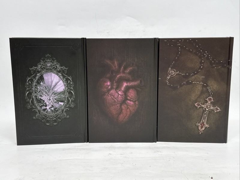 UNREAD LitJoy Classics Gothic Box Set Dracula Poe Dorian Gray Special Editions gallery