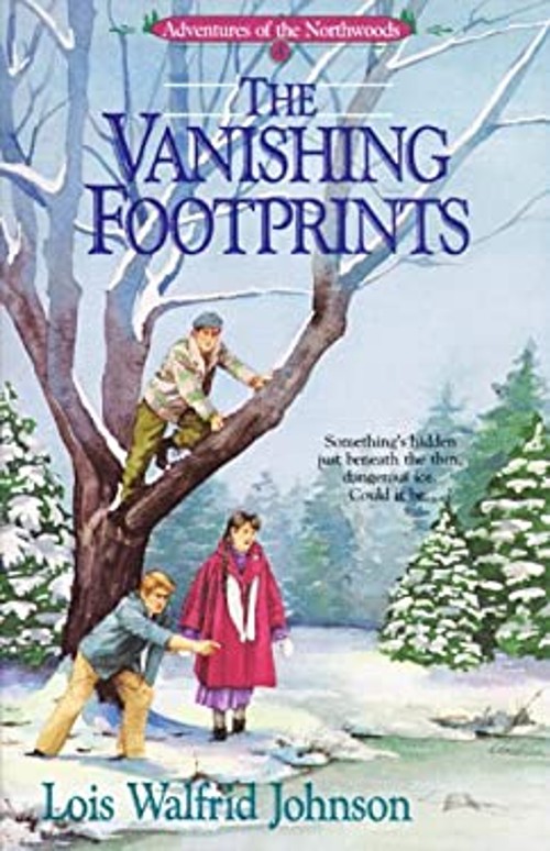Vanishing Footprints Paperback Lois Walfrid Johnson