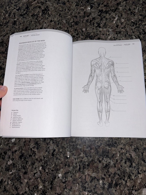 Kaplan Anatomy Coloring Book 10th Edition gallery