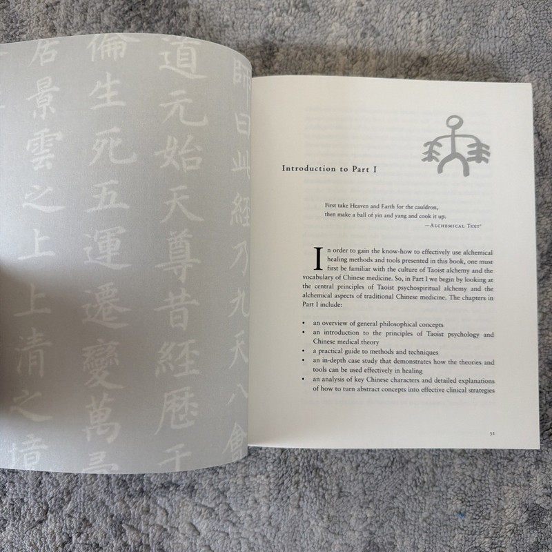Five Spirits : Alchemical Acupuncture for Psychological and Spiritual Healing by gallery