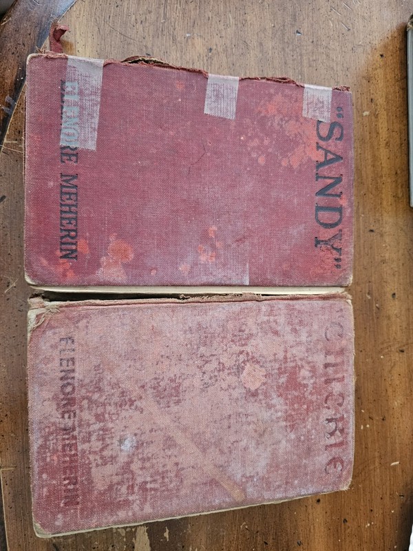 Antique Elenore Meherins 1925 Chickie And 1926 Sandy Hardcover 1st Editions