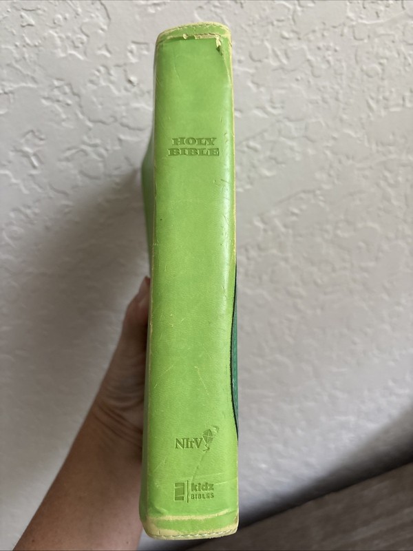 VeggieTales Bible New International Version Soft Leather Bound Fair gallery