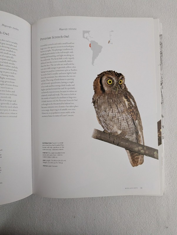 Owls : A Guide to Every Species in the World by Marianne Taylor (2016,... gallery