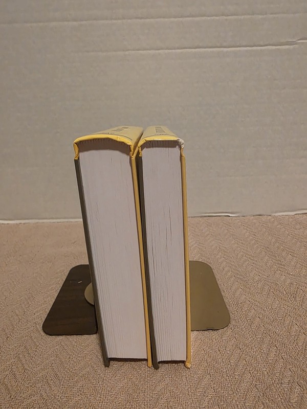 Cornerstones Basic/Advanced Real Analysis 2 Vol Set - 2005, HC gallery