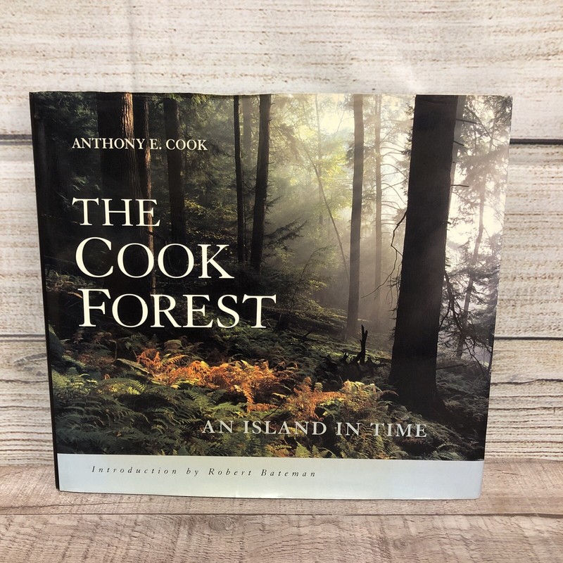 The Cook Forest Anthony E Cook 1997 HC 1560445043 DJ