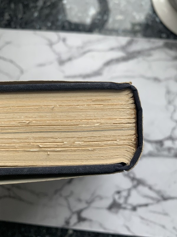 The Lion of the Lord a biography of Brigham Young by Stanley P Hirshson gallery