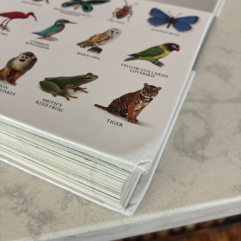 Natural History: The Ultimate Visual Guide to Everything on Earth gallery
