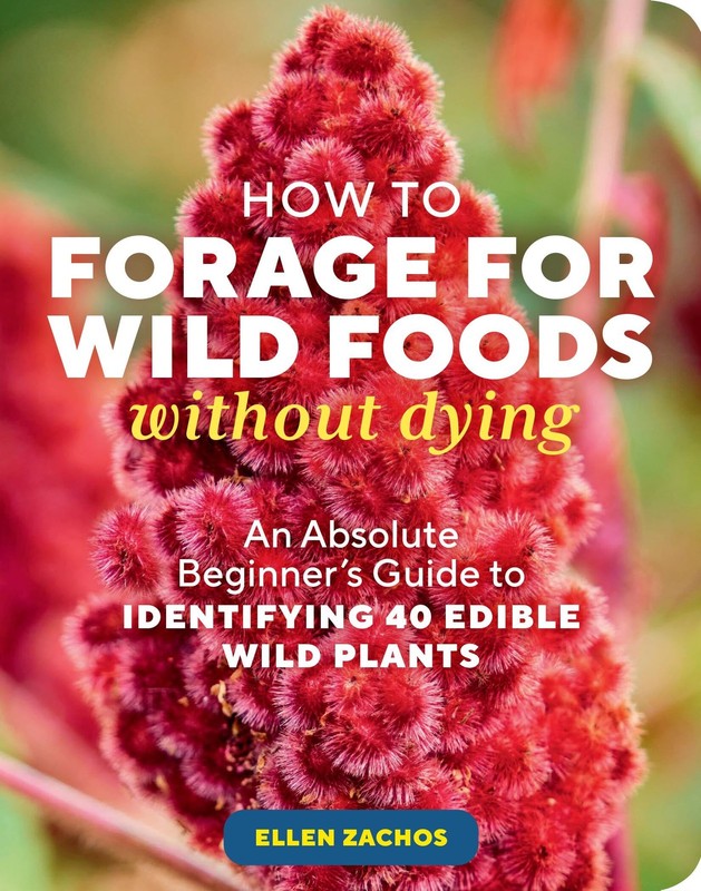 How to Forage for Wild Foods without Dying: An Absolute Beginner’s Guide to …