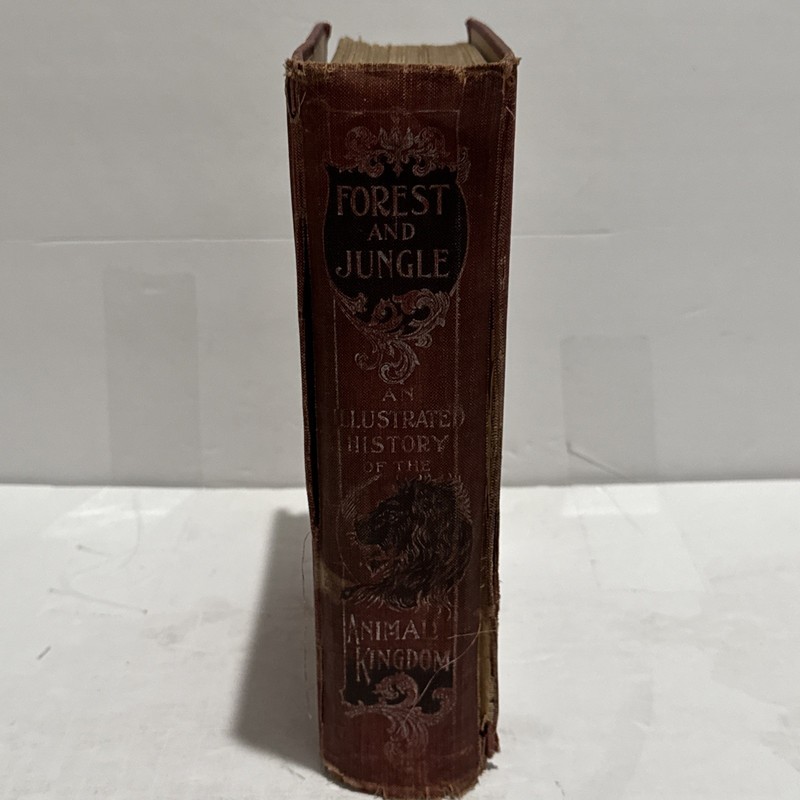 Forest & Jungle Or Thrilling Adventures in All Quarters of Globe 1907 Barnum gallery