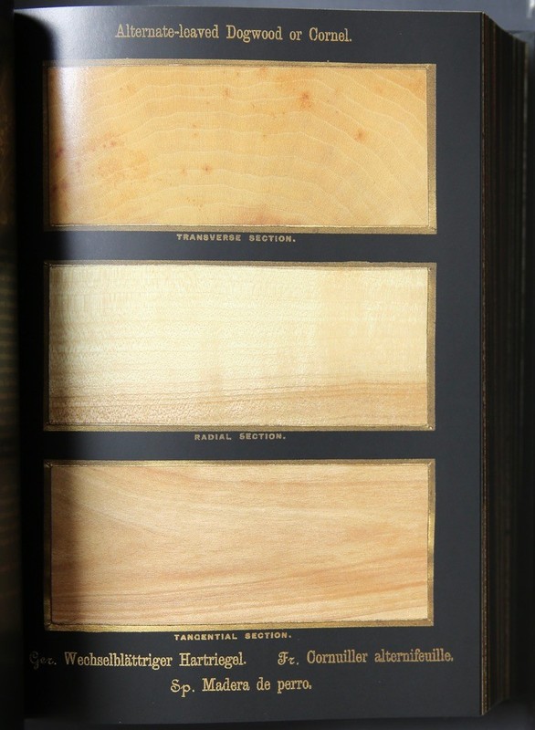 The Wood Book - Taschen Complete Plates EPH888 gallery