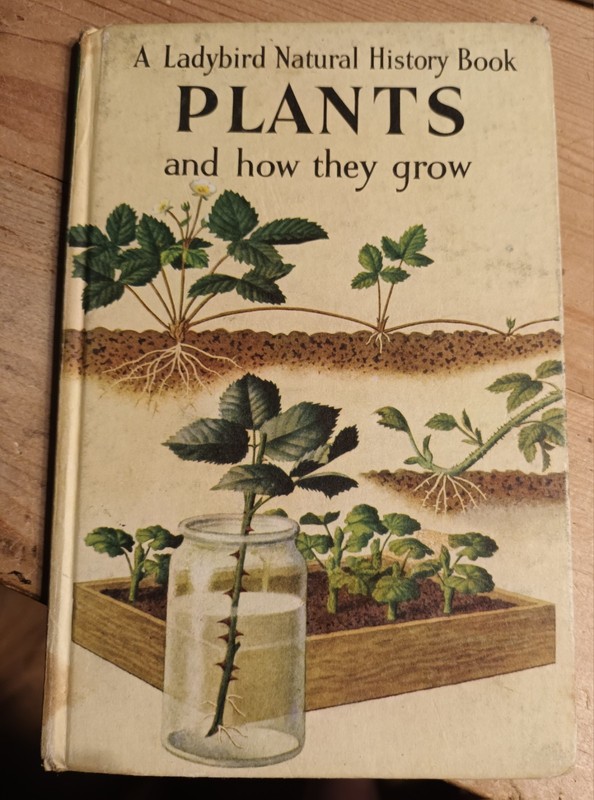 Vintage Ladybird Book – Plants And How They Grow – Series 651