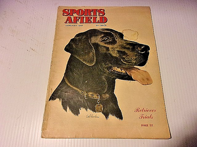 OLD JANUARY 1947 SPORTS AFIELD MAGAZINE w/ BLACK LAB RETRIEVER ART COVER