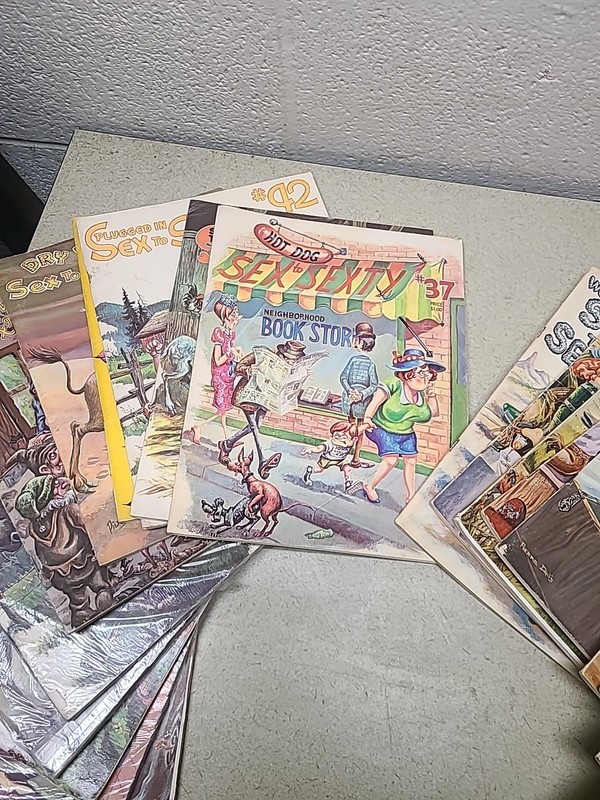 Lot of 25 Issues of Sex to Sexty Risque Adult Humor Books -Pierre Davis Cartoons gallery