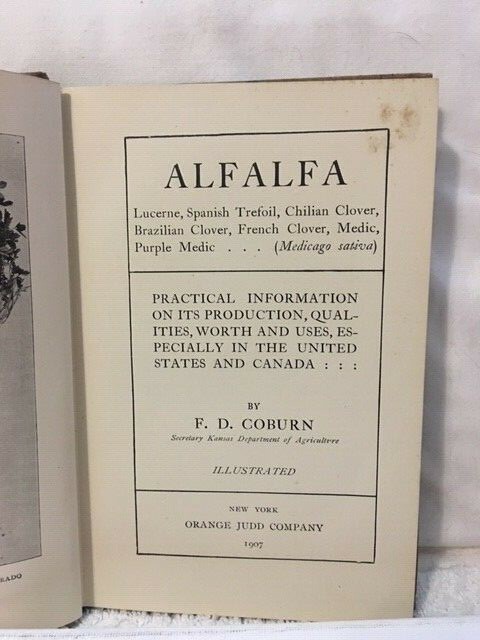 ALFALFA Antique Orange Judd Company 1907 Plants and Herbs Rare First Edition gallery