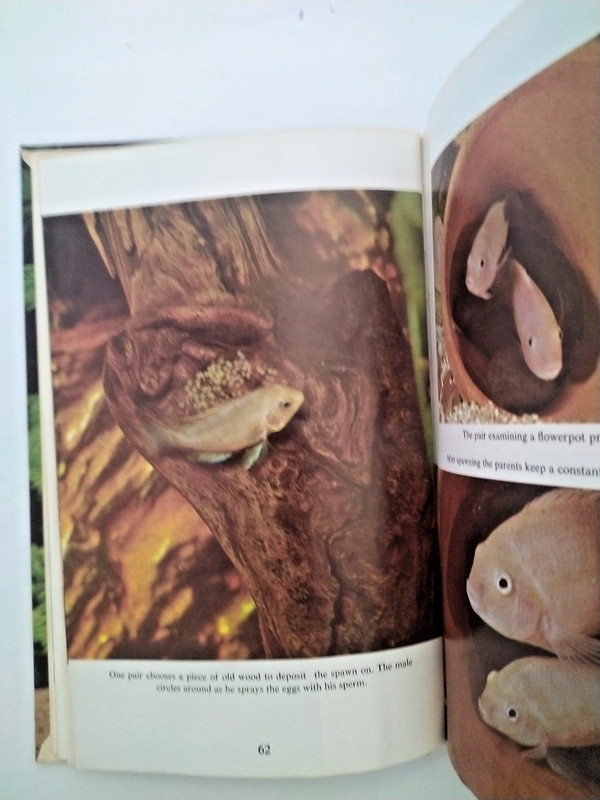 Breeding Aquarium Fishes book by Dr. Herbert Axelrod Susan Shaw 1967 hardcover gallery