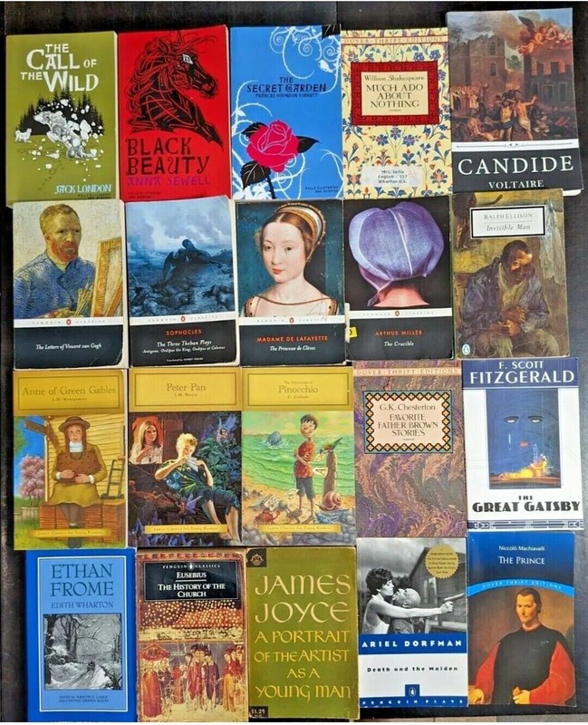 Lot of 30 Classic Books Steinbeck Hemingway Faulkner Mixed Paperback Literature gallery
