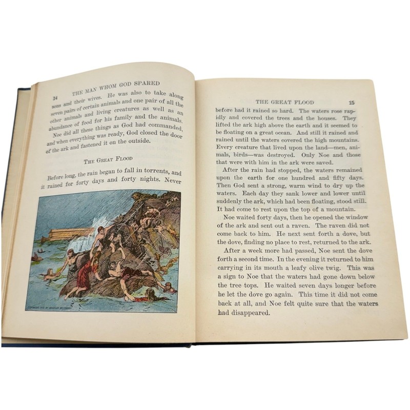 Benziger Brothers The Bible Story 1931 Catholic Textbook Illustrated Lower Grade gallery