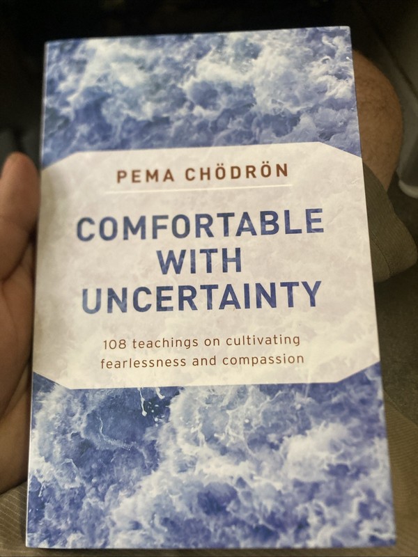 Comfortable with Uncertainty: 108 Teachings on Cultivating Fearlessness and …