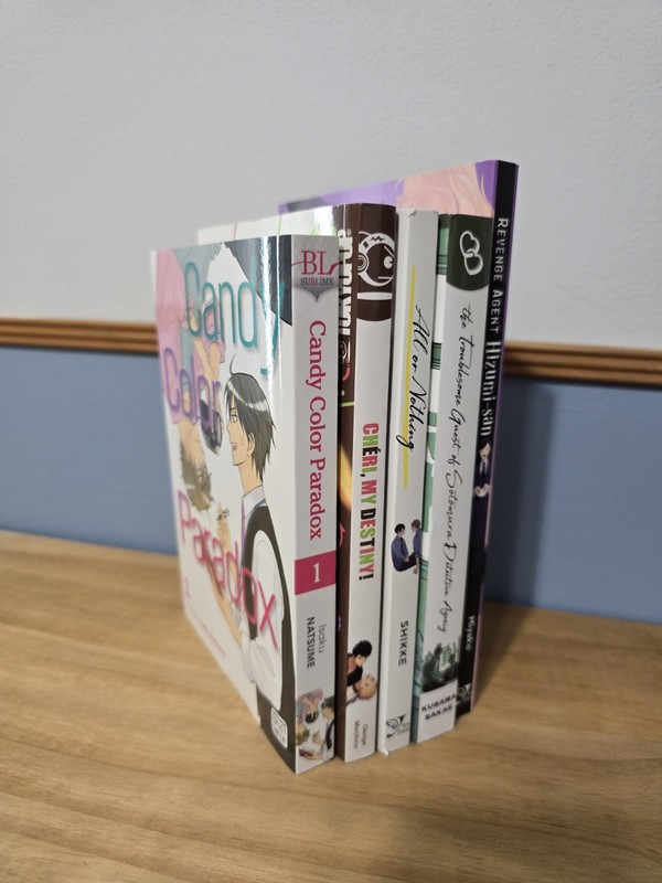 BL Yaoi Manga Lot