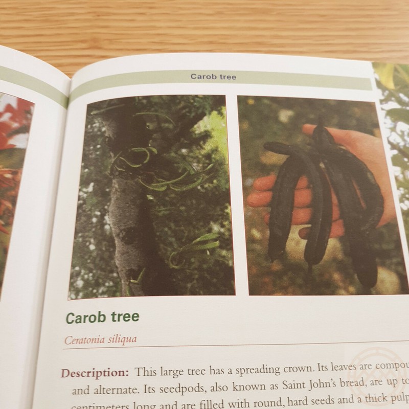 Complete Guide to Edible Plants Book Army Dept Medicine Poison Color Photos gallery