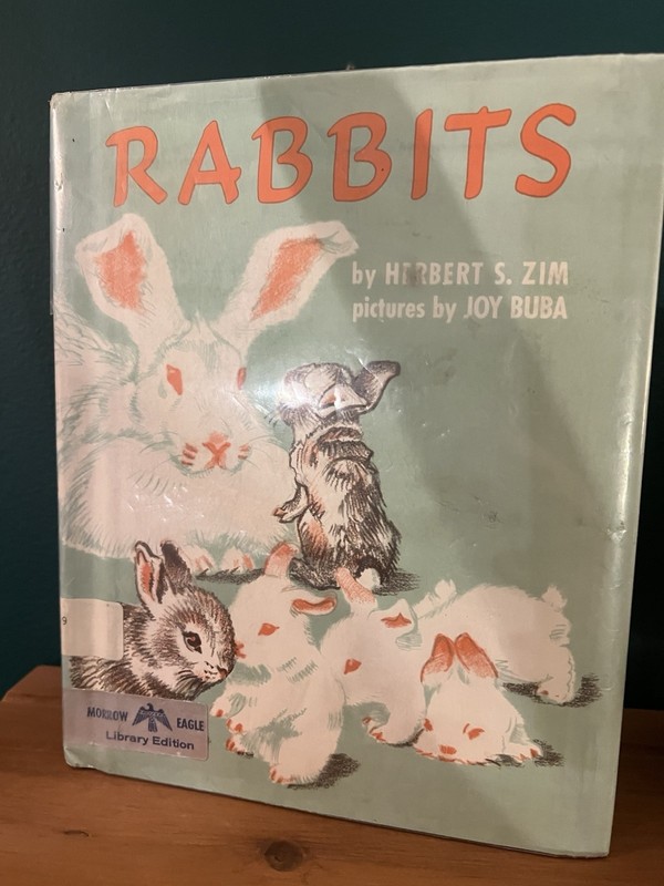 Rare collectible antique Rabbits By Herbert S. Zim