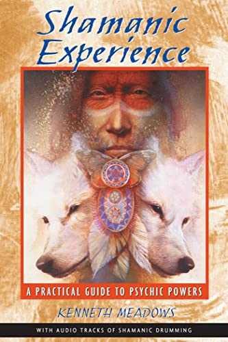 Shamanic Experience: A Practical – Paperback, by Meadows Kenneth – Very Good c