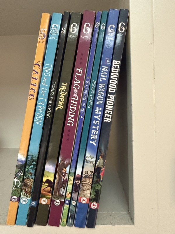 Good & the Beautiful Library: 9 Books Levels 5 &6 gallery