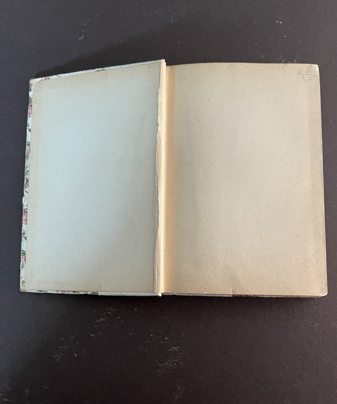 Ships That Pass In the Night by Beatrice Harraden 1893 Book 252 Pages 6 x 4 in. gallery
