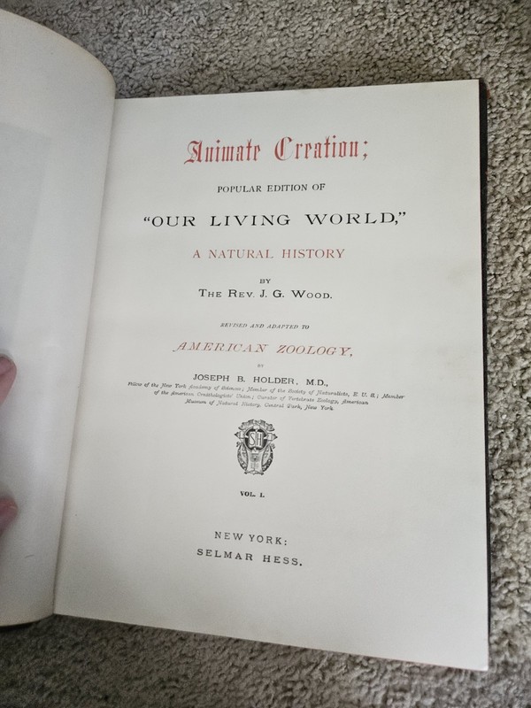 1895 ANIMATE CREATION ILLUSTRATED OUR LIVING WORLD BY REV J G WOOD Vol 1 gallery