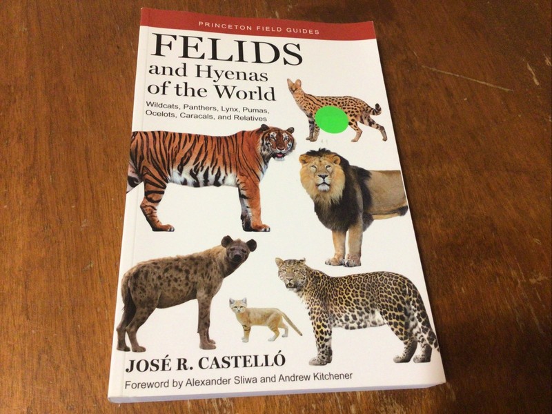 FELIDS AND HYENAS OF THE WORLD: Wildcats, Panthers, Lynx Pumas Princeton 2020 PB