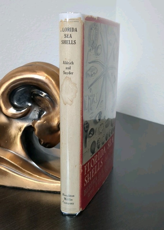 Florida Sea Shells Bertha D.E. Aldrich Ethel Snyder 1st Ed 1936 Illustrated gallery