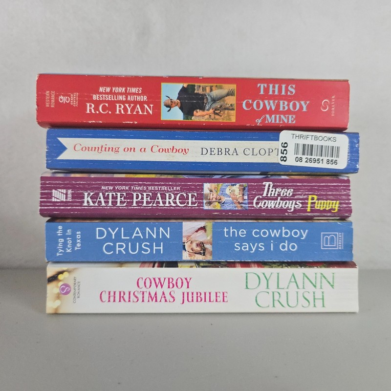 Contemporary Western Cowboy Romance Lot Texas Ranch Love Story Paperback Books