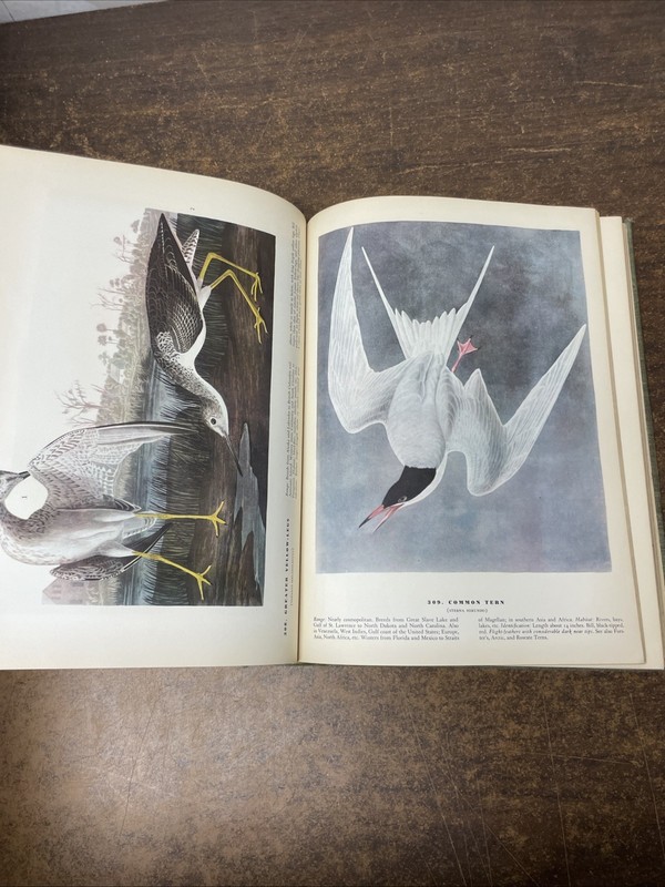 THE BIRDS OF AMERICA – John James Audubon 1937 HC gallery
