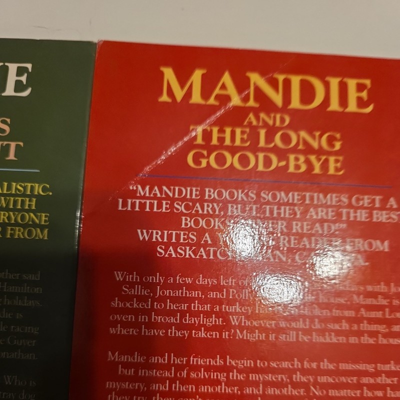 The Mandie Books Lot of 3 Lois Gladys Leppard Christian Mysteries 28,30, Holiday gallery