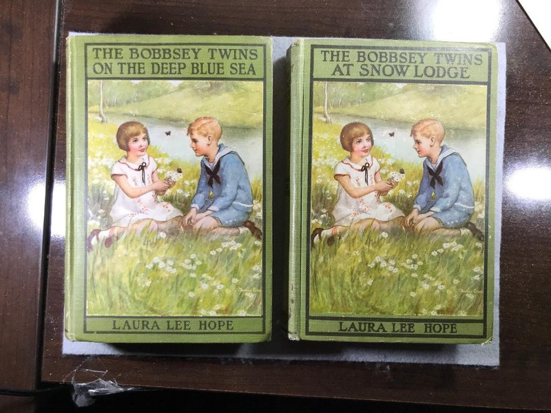 Antique Lot of Two Bobbsey Twin Books