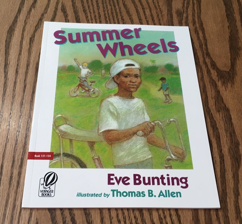 FOUNTAS & PINNELL LEVELED LITERACY INTERVENTION / 6 CHAPTER BOOKS / RED LEVEL gallery