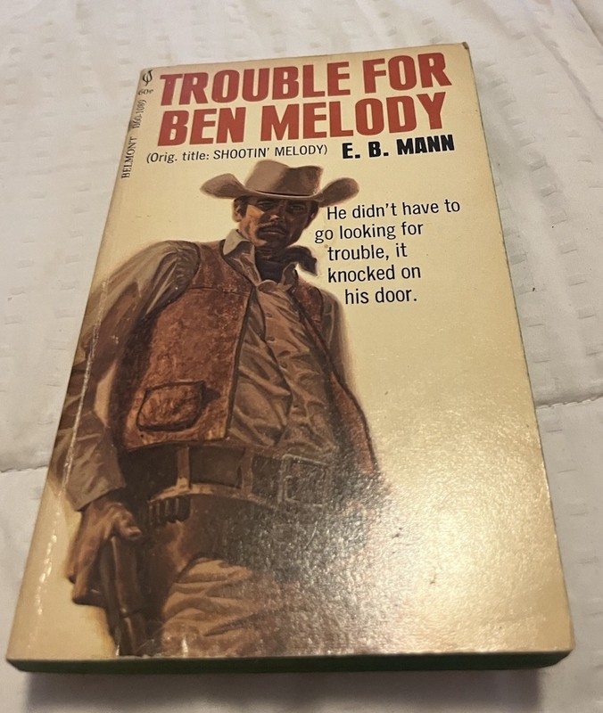Lot Of 10 Vintage Western Paperback Books (See Photos For Titles) S15 gallery
