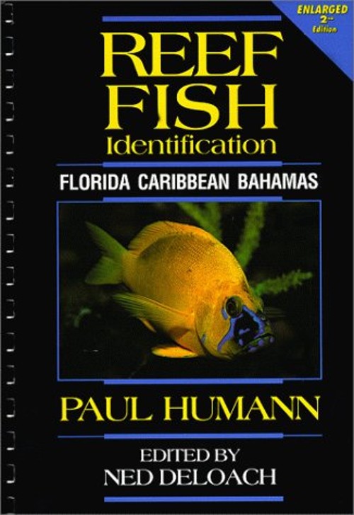 Reef Fish Identification Florida Caribbean Bahamas Spiral Paul Hu