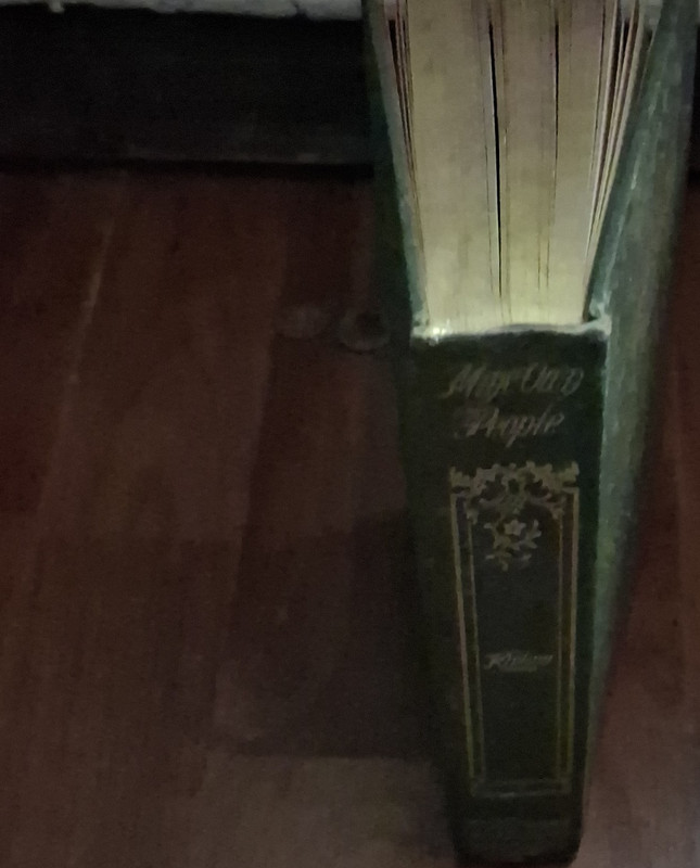 Rudyard Kipling Mine Own People Hardcover Illustrated Thomas Y. Crowell 1899